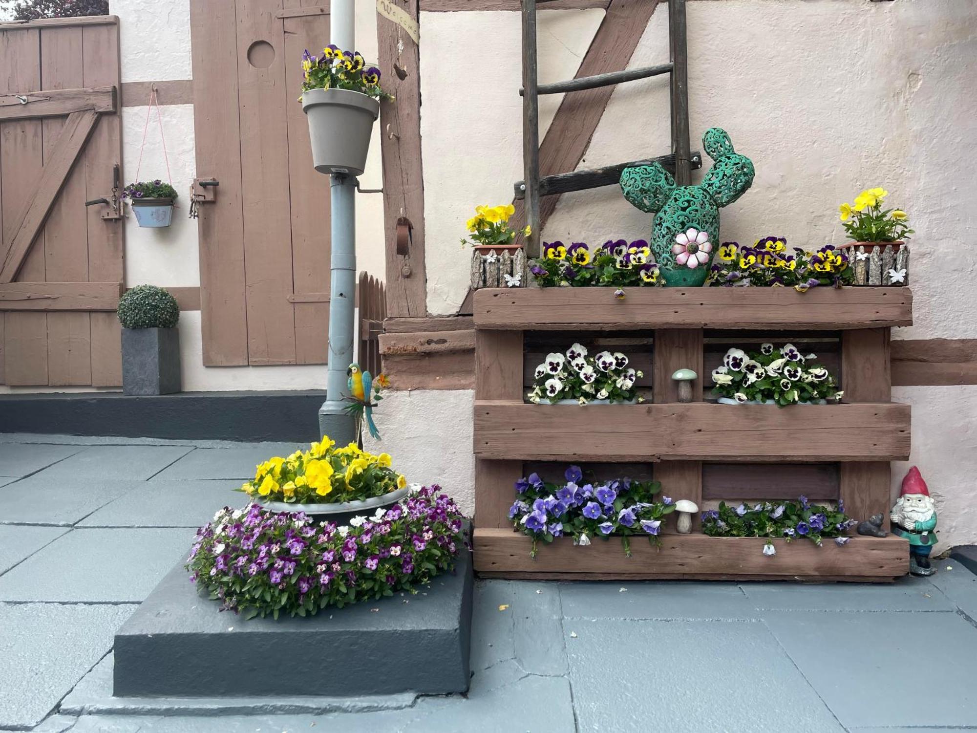 Ferienhaus Belkot Bad Sachsa Buitenkant foto